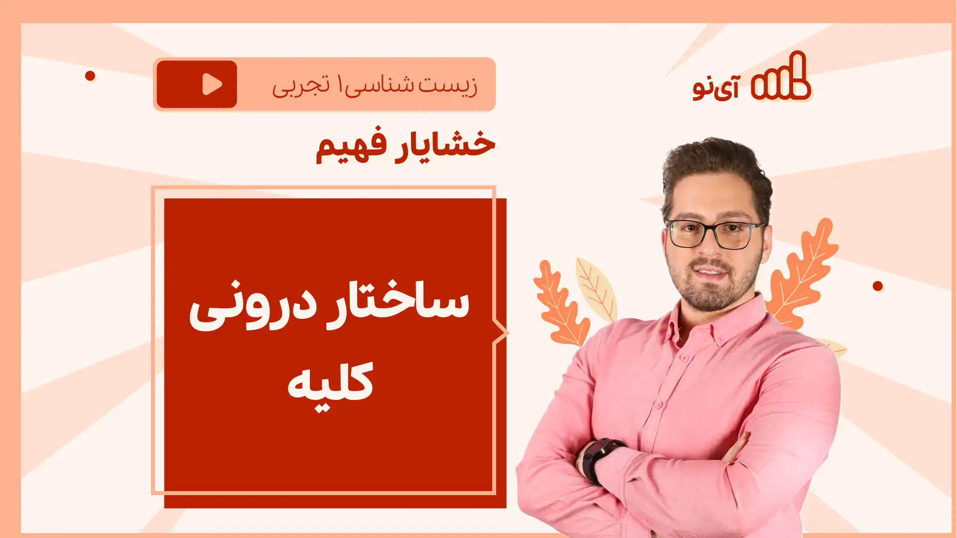 تصویر پیش نمایش درس نکته و تست ساختار درونی کلیه